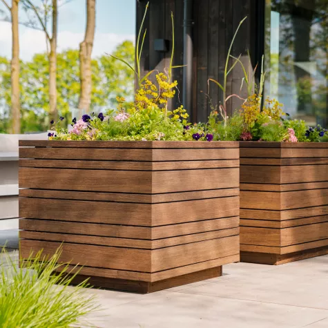 Pflanzkübel XXL aus Bambus – Nachhaltigkeit trifft auf elegantes Design Bild: Pflanzkübel XXL aus Bambus – Nachhaltigkeit trifft auf elegantes Design