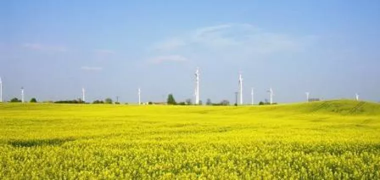 Bild: Experten für BioEnergie rufen Parlamentarier zu Hilfe