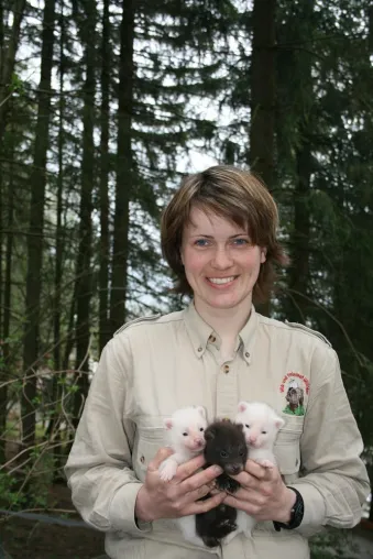 Bild: Neue Bewohner im Wildpark Willingen - Acht kleine Marderhunde bereichern Vielfalt