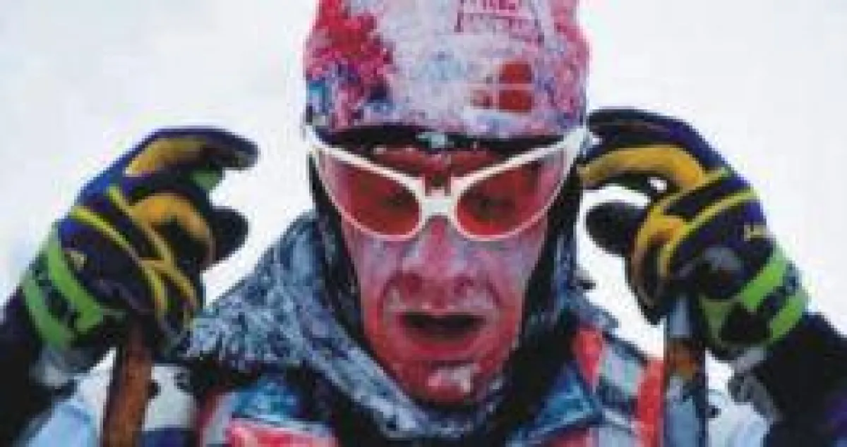 Solarenergie funktioniert auch bei minus 40 Grad!