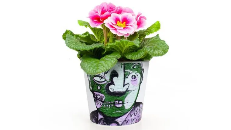 Blumentopf StreetArt Facepot neu im Red Dot Shop Bild: Blumentopf StreetArt Facepot neu im Red Dot Shop