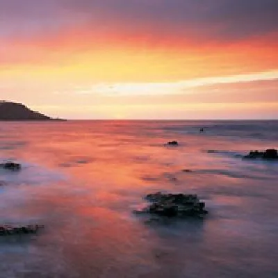 Bild: Literarische Träume aus zwei Jahrhunderten in der Villa Schnitzler