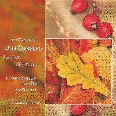 Bild: Bei der Tischdeko in Farben und Früchten des Herbstes schwelgen