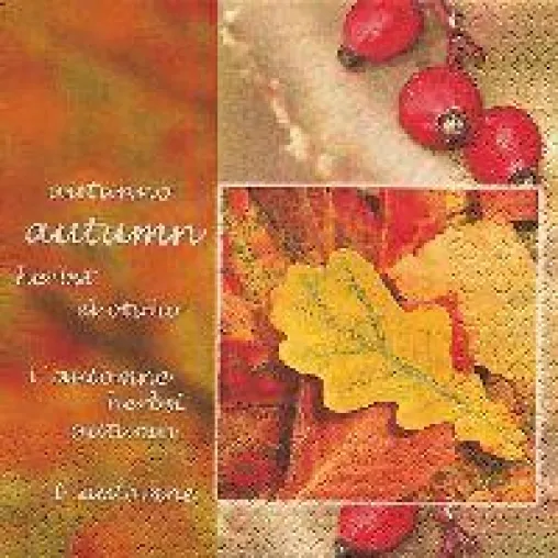Bei der Tischdeko in Farben und Früchten des Herbstes schwelgen Bild: Bei der Tischdeko in Farben und Früchten des Herbstes schwelgen
