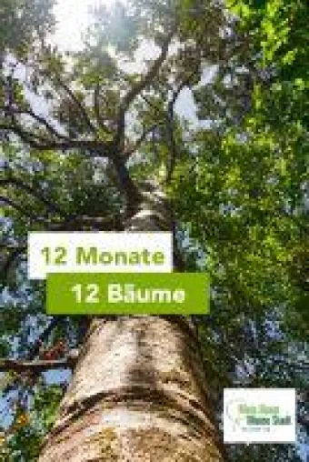 Bild: 12 Monate - 12 Bäume