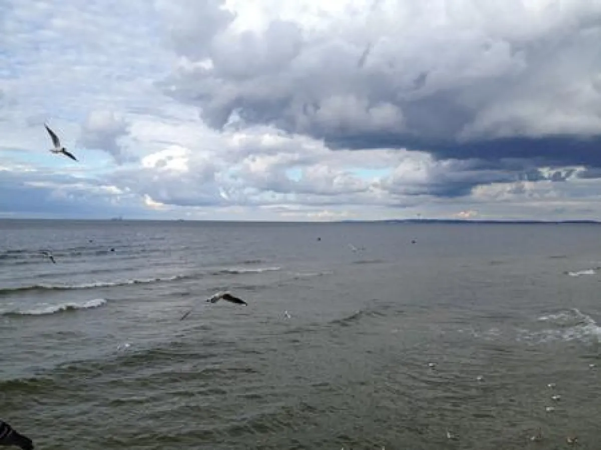 Das ausgezeichnete Bild