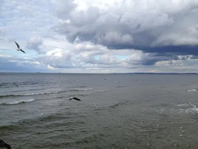 Der Gewinner des Popfax Sommer Wettbewerbs Bild: Der Gewinner des Popfax Sommer Wettbewerbs