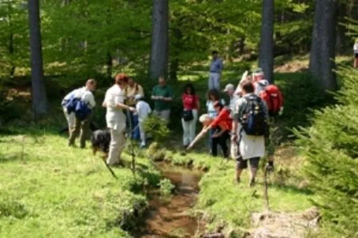 Bild: Auch wandern will gelernt sein - Wanderdiplom der Wanderschule Nieste