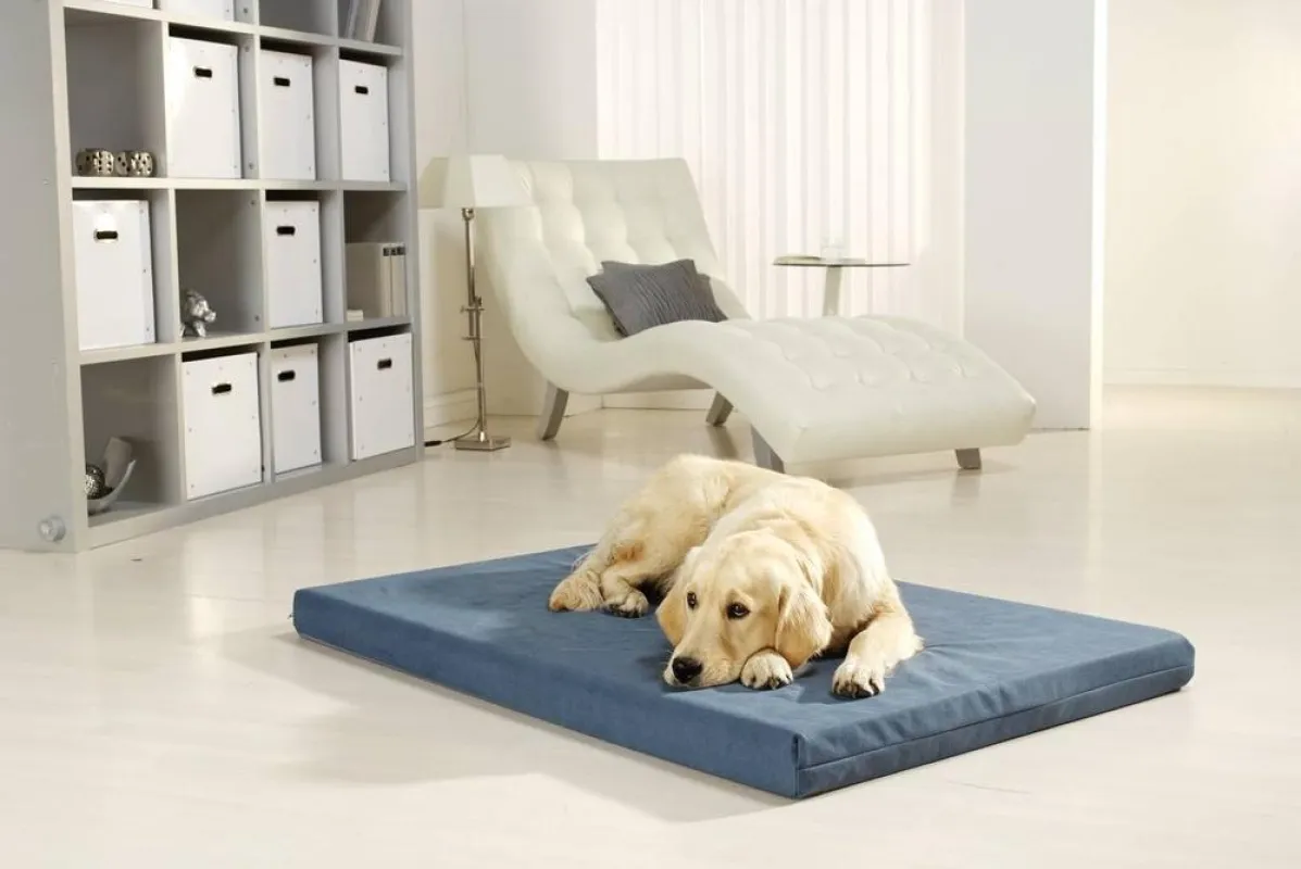 Pulmacell Hundebett Gr. mittel (70x100 cm) mit Emma