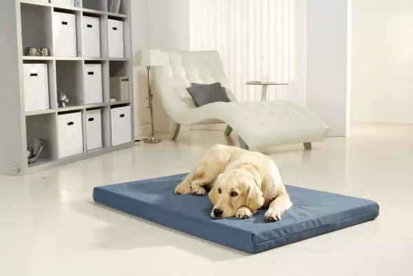 Bild: PULMACELL Hundebett - allergendicht und orthopädisch