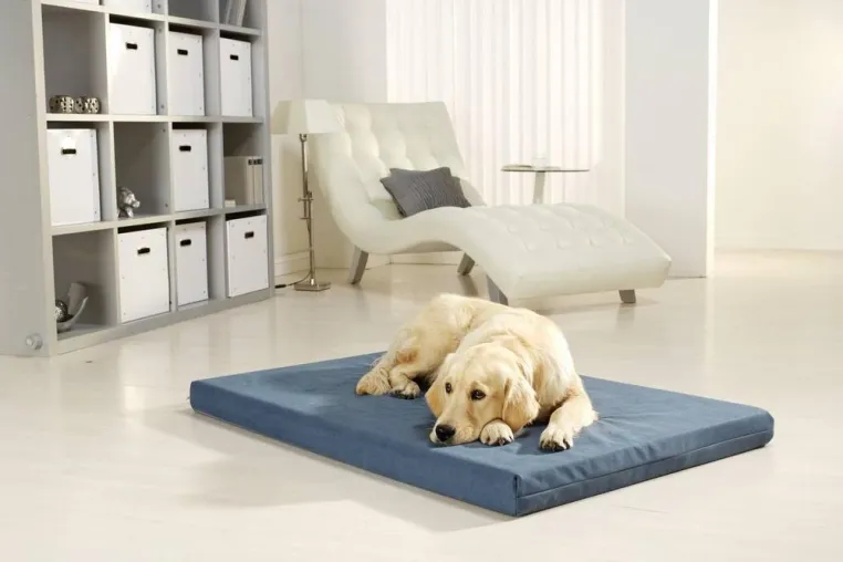 Bild: PULMACELL Hundebett - allergendicht und orthopädisch