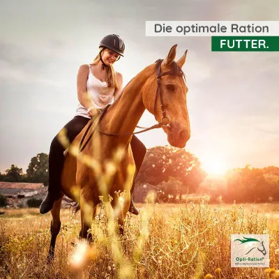 Bild: Start-up mit Deutschlands erstem unabhängigen Onlinetool zur Rationsberechnung für Pferde geht an den Markt