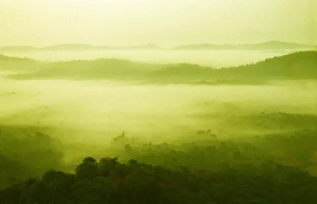 Bild: The gallery STEINER präsentiert Joe Haider "Art of Silence"