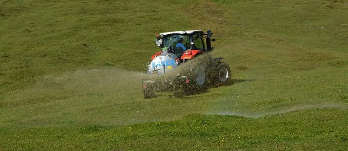 Eine wichtige Quelle für Feinstaub: Landwirtschaftliche Ammoniakemissionen aus Düngung und Viehzucht. (Wald1siedel/Creative-Commons Lizenz)