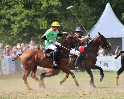 7. Internationale Deutsche Arena Polo Meisterschaft ium Mai in Braunschschweig Bild: 7. Internationale Deutsche Arena Polo Meisterschaft ium Mai in Braunschschweig
