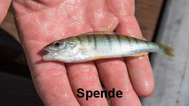 Bild: Warum sie NICHT MEHR NUR SPENDEN sollten. Humanitäre Geldanlage ist der bessere Weg.