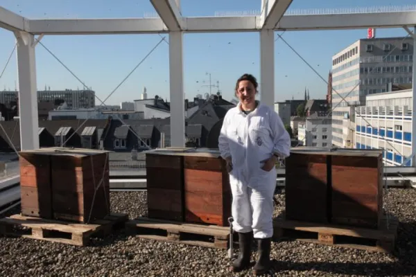 240.000 neue „Mitarbeiterinnen“ - vier weitere Bienenvölker angesiedelt Bild: 240.000 neue „Mitarbeiterinnen“ - vier weitere Bienenvölker angesiedelt