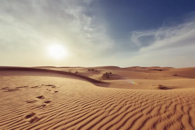 Bild: Auf den Spuren der Weihrauchstraße im Oman