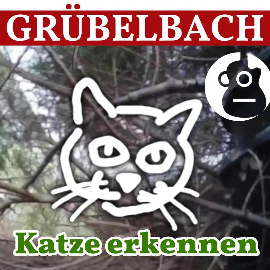 Single KATZE ERKENNEN (Release: 16.10.2020)