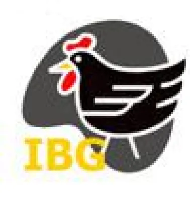 Bild: Bio-Eierskandal: IBG fordert mehr Transparenz