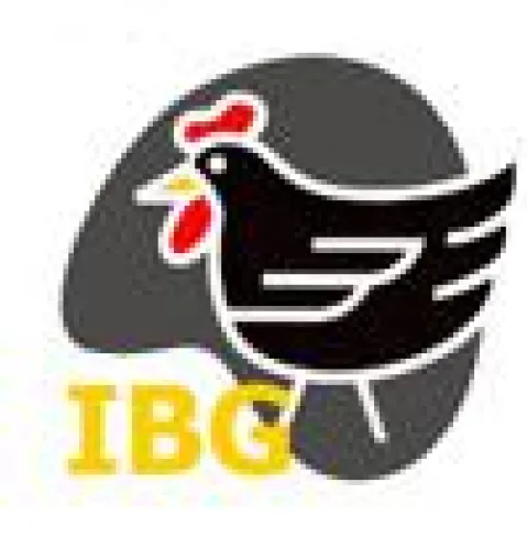 Bio-Eierskandal: IBG fordert mehr Transparenz Bild: Bio-Eierskandal: IBG fordert mehr Transparenz