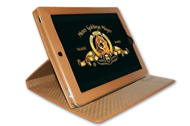 Bild: iPad in spanischer Luxushülle