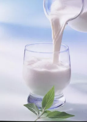 Bild: Bewusst genießen – Sprechen Sie Milch?