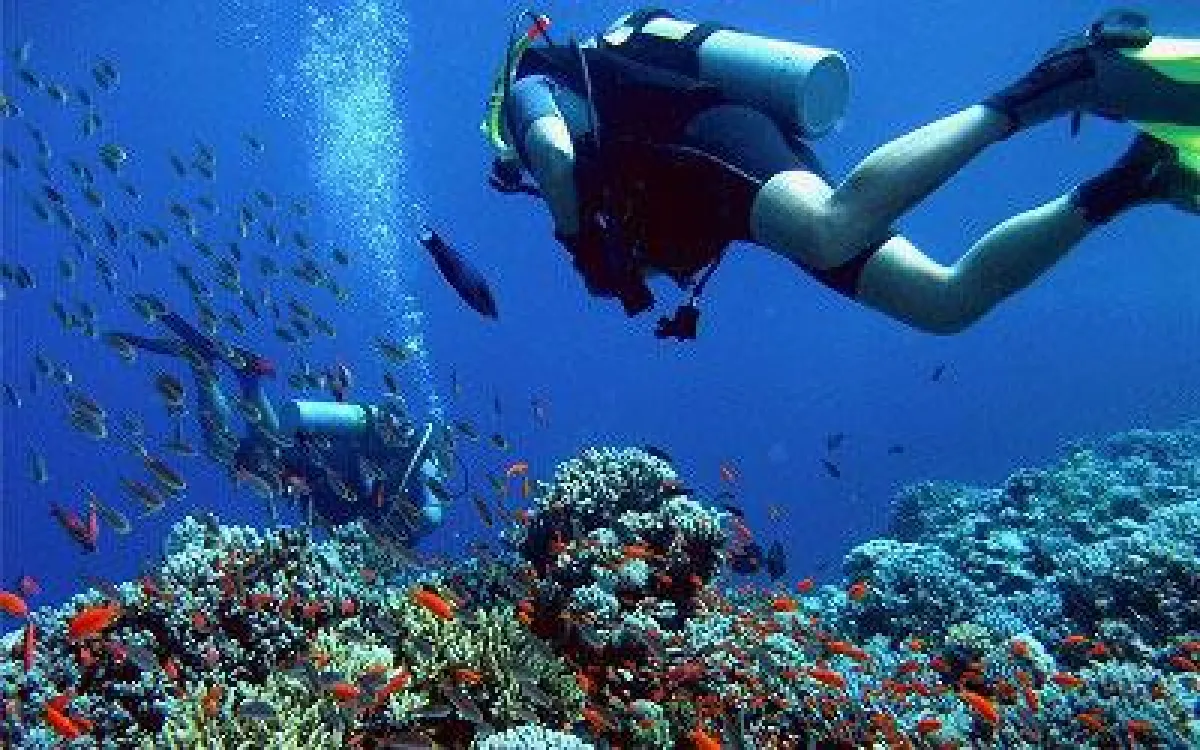 Jugendreisen mit Tauchen