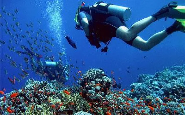 Freebird Jugendreisen bietet Tauchreisen nach Elba an Bild: Freebird Jugendreisen bietet Tauchreisen nach Elba an