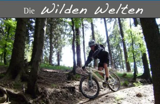 Bild: MTB–Fahrtechnikkurse mit JOKO auf dem Hohen Knochen im Sauerland