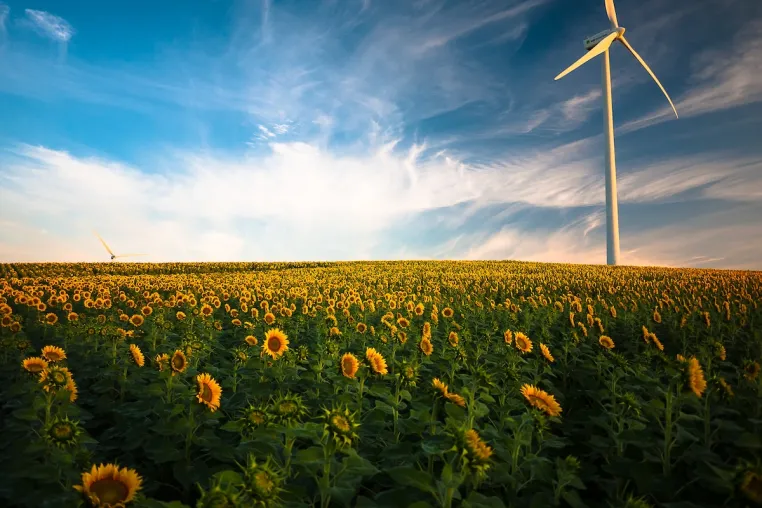 Bild: Grüne Zinsen mit Inflationsschutz:  RE15 EnergieZins 2025 neu auf innovestment.eu | Anlage ab 1.000 Euro