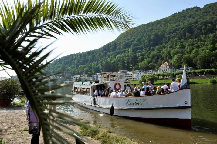 Bild: Fahrvergnügen auf dem Neckar