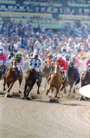 Bild: Magnabet.com-Infoservice: Jackpot-Flut bei US Pferderennen