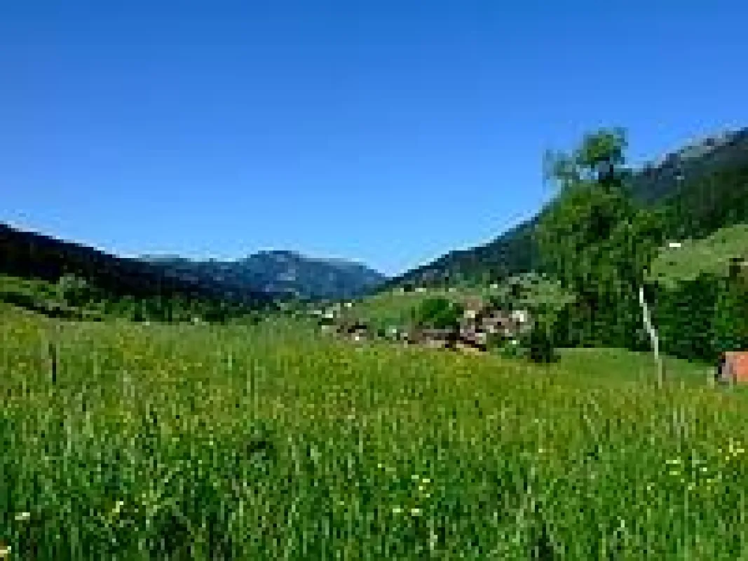 Im Gunzesrieder Kräutertal sind die Allgäuer Pflanzenvielfalt und die Heilkunde der Bergbäuerinnen allgegenwärtig.