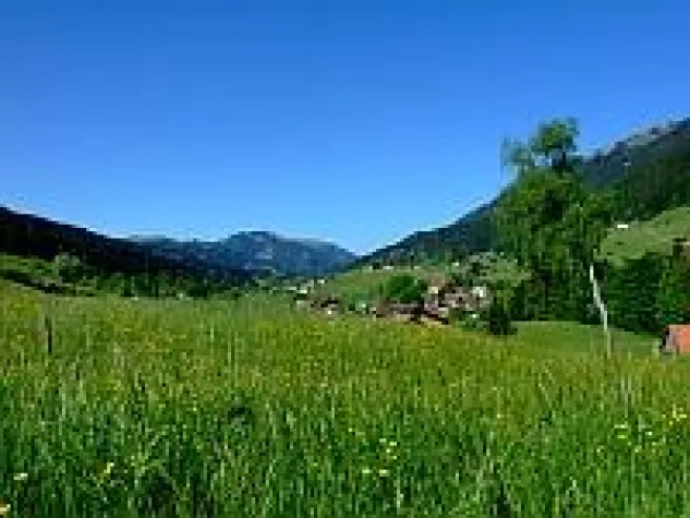 Bild: Im Frühlingsgarten Allgäu