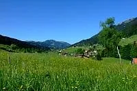 Bild: Im Frühlingsgarten Allgäu