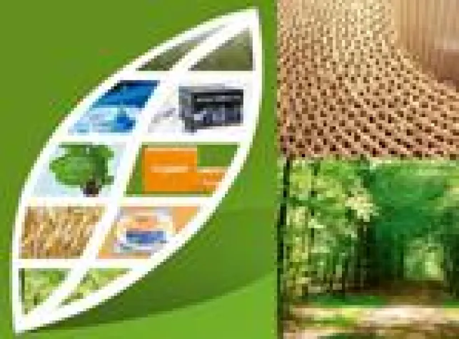 Bild: Workshop: „Green und Clean“