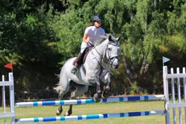 Bild: Hochleistung und Harmonie im Harburger Reitverein
