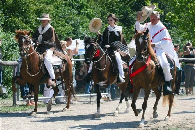 Bild: Südamerikanisches Flair auf der 4. Europameisterschaft der Paso Peruanos