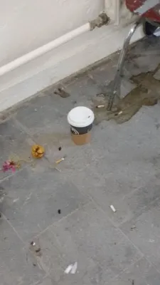 Bild: Rauchchaos und Kippenteppich in Düsseldorf