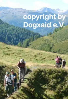 Bild: Dogxaid und Alpenverein erkunden wieder gemeinsam die Alpen