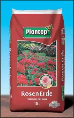 Bild: Ein guter Start für Rosen - Spezial Rosenerde zum Pflanzen