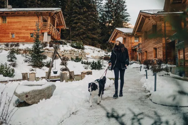 Bild:  VALSEGG: Entspannter Urlaub für alle Hunde-Freunde