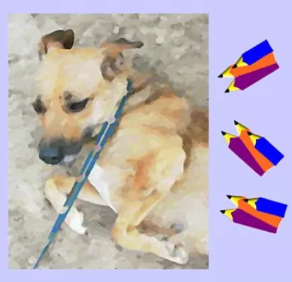 Bild: Projekt-Pusztahunde e.V. startet Malwettbewerb für Kinder von 4 bis 12 Jahre