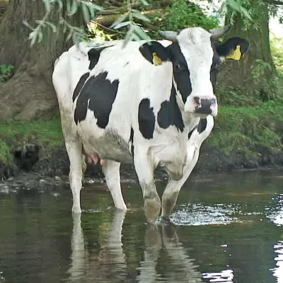 Bild: Dröppelmina & WupperStrand: der Film zum Fluss