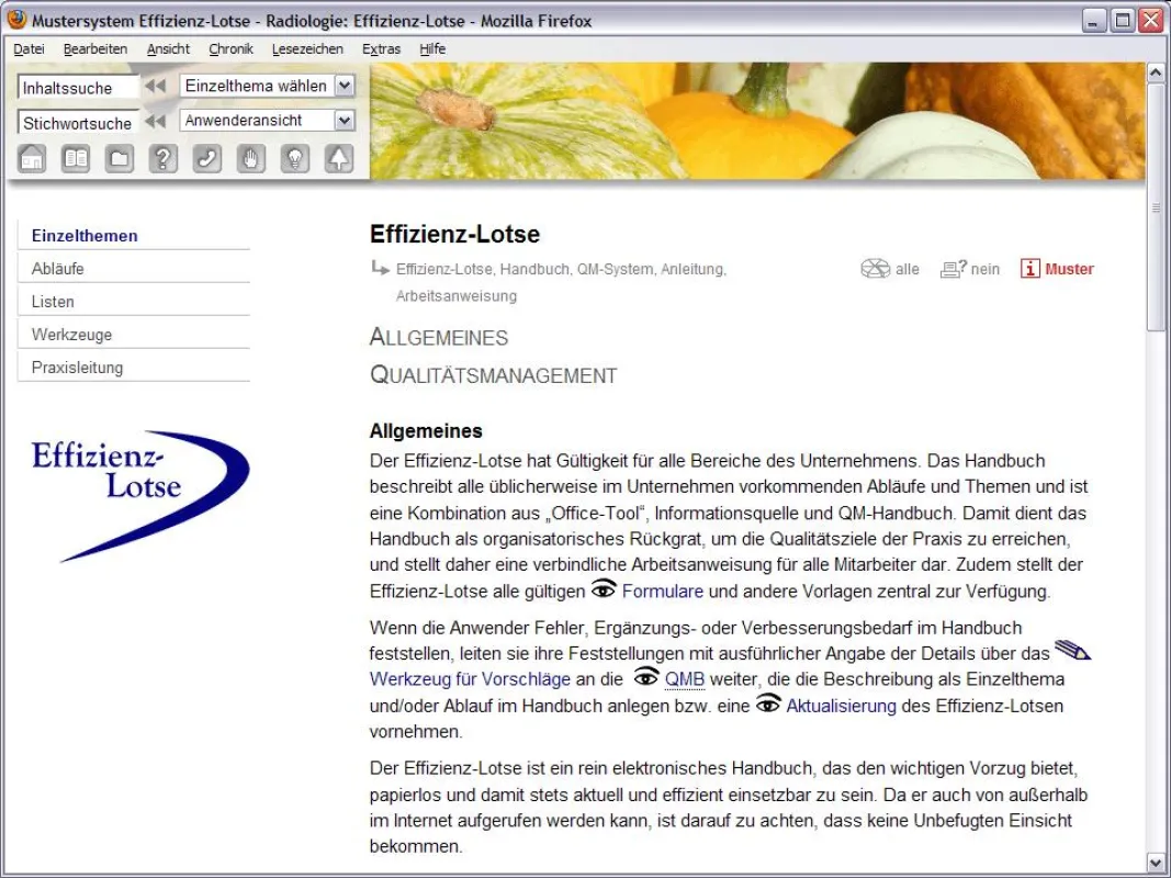 Alternatives Layout Herbst - Organisations- und QM-System Effizienz-Lotse