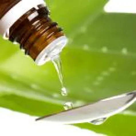 Bild: Naturheilkunde (Phytotherapie) weiter im Kommen