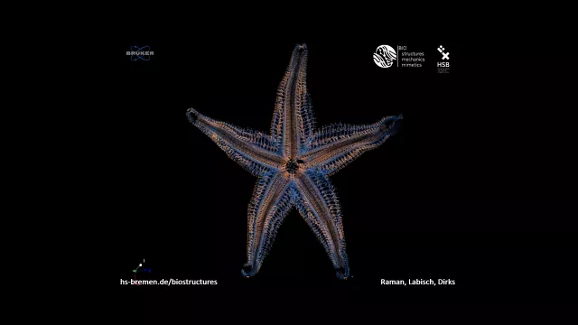 Bild: Die Qualität des Nahverkehrs: eine Deutschlandkarte