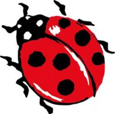 Bild: Exakt auf die Bedürfnisse von Fahrradfahrern zugeschnitten – Assos Shorts