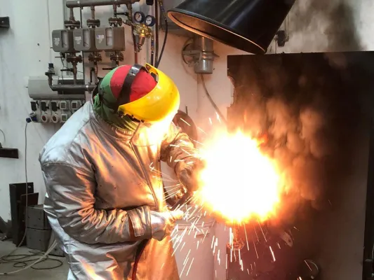 Bild: Zwischenbericht zum SECOTA-Projekt auf der ESSA-Mitgliederversammlung 2019